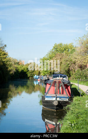 Il Grand Union Canal in Greenford con battelli Foto Stock