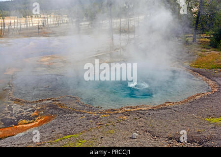 La nebbia e vapore in mattina presto sulla molla Firehole nel Parco Nazionale di Yellowstone Foto Stock