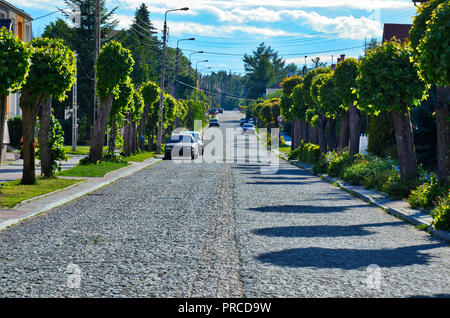 Viale lastricato di alberi a fianco di una strada in Polonia Foto Stock