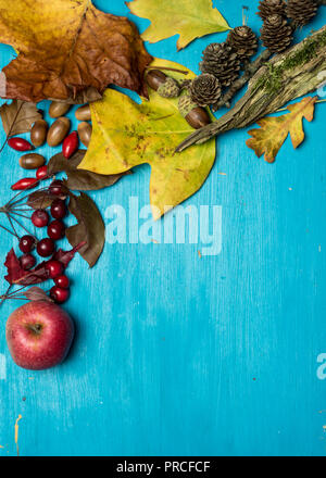 Su un blu, sfondo di legno si trova a foglie di autunno, wild red rose Frutta, ghiande, Apple e i coni. In posizione centrale per il testo Foto Stock