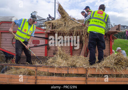 Gruppo di uomini il caricamento di una macchina di trebbiatura con avena con forche in piedi su un carrello pieno di oat le pulegge in corrispondenza di una fiera di paese nella parte occidentale della contea di Cork in Irlanda Foto Stock