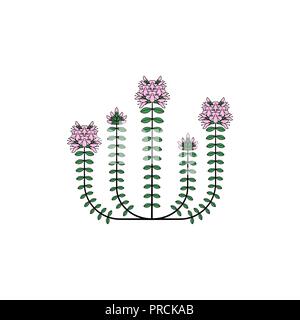 Erba medicinale icona Illustrazione Vettoriale