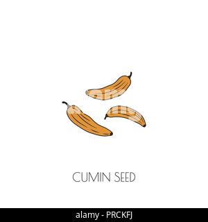 Semi di cumino icona Illustrazione Vettoriale