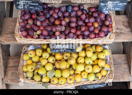 Organici di prugne e ananas pitmaston mele per la vendita a Daylesford Organic farm shop festival d'autunno. Daylesford, Cotswolds, Gloucestershire, Inghilterra Foto Stock