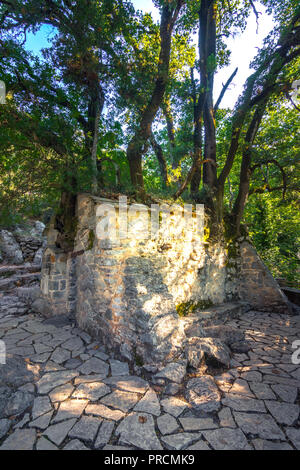 Agia Theodora chiesa nel Peloponneso Isaris, Grecia. Sul tetto della chiesa sono cresciuti alberi giganti senza radici all'interno. Foto Stock