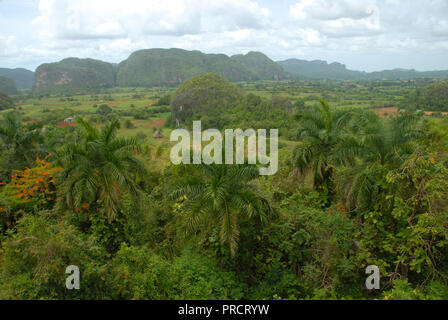 Valle di Viñales, vista sul lussureggiante paesaggio verde, Pinar del Rio Provincia, Cuba. Foto Stock