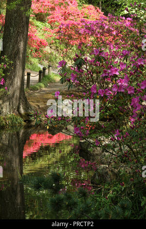 Scenario nel Giardino Giapponese a Maymont (Richmond, VA, USA) Foto Stock