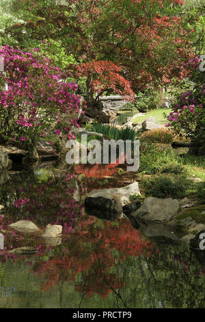 Scenario nel Giardino Giapponese a Maymont (Richmond, VA, USA) Foto Stock