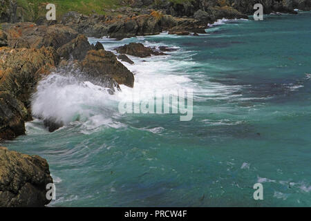 Foto di Terranova di Torbay spiaggia di Torbay, Terranova, il Canada e la costa dell'Oceano Atlantico Foto Stock