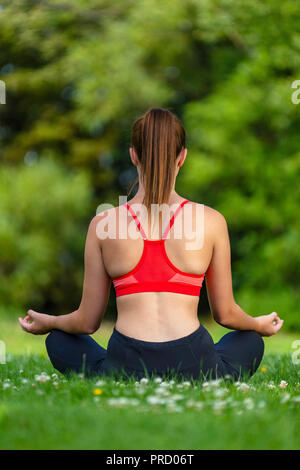 Vista posteriore del giovane montare sani di sesso femminile donna o ragazza a praticare yoga pone al di fuori di una naturale tranquillo ambiente verde Foto Stock