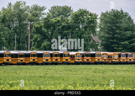 Scuola-bus su un campo sulla storica Route 66, Litchfield, Illinois, Stati Uniti d'America Foto Stock