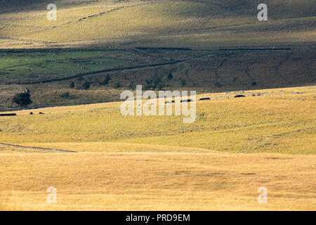 Paesaggio minimalista immagini del West Pennine Moors vicino a Bolton. Paesaggi senza cielo. Foto Stock