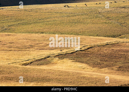 Paesaggio minimalista immagini del West Pennine Moors vicino a Bolton. Paesaggi senza cielo. Foto Stock