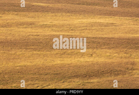 Paesaggio minimalista immagini del West Pennine Moors vicino a Bolton. Paesaggi senza cielo. Foto Stock