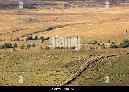 Paesaggio minimalista immagini del West Pennine Moors vicino a Bolton. Paesaggi senza cielo. Foto Stock