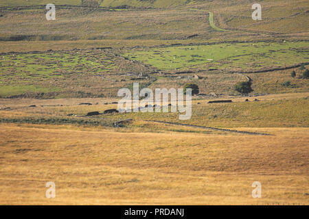 Paesaggio minimalista immagini del West Pennine Moors vicino a Bolton. Paesaggi senza cielo. Foto Stock