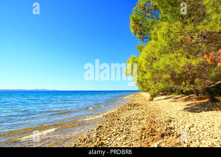 Spiaggia rocciosa vicino a Zadar, mare Adriatico, Croazia Foto Stock