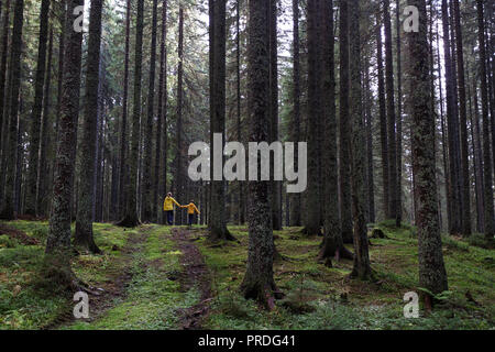 La madre e il figlio che indossa giacche gialle Holding Hands, passeggiate, fare una passeggiata nel buio pineta in un pomeriggio autunnale Foto Stock