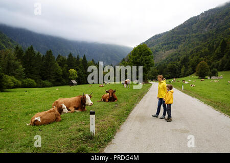 La madre e il figlio che indossa giacche gialle guardando il pascolo di bestiame sul pascolo da strada di campagna Foto Stock