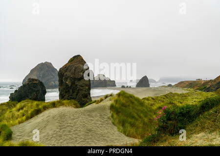 Presso il fiume pistola Punto Panoramico, Gold Beach Oregon Foto Stock