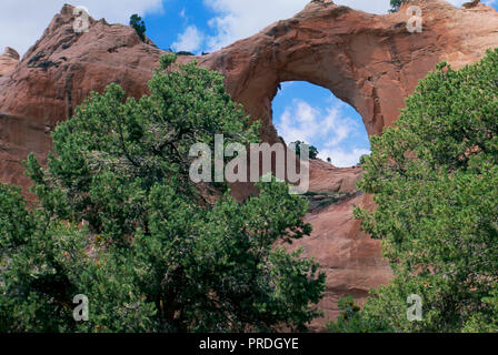 Arco Naturale di Roccia finestra, Arizona, Navajo Nation landmark. Fotografia Foto Stock