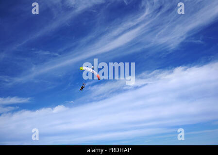 Colore brillante paracadute e tettoia del tandem skydivers contro lo sfondo di un bianco abbagliante nuvole e un cielo blu. Master in tandem con il passeggero è Foto Stock