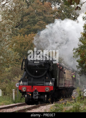 Il mondo-famoso Flying Scotsman 60103 treno a vapore locomotiva poteri lungo il Nene Valley Railway, a Peterborough, CAMBRIDGESHIRE, in data 1 ottobre 2018. Foto Stock