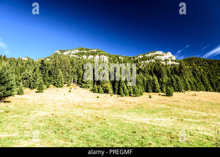 Svidovske sedlo con calcare - Dolomitian Ohniste collina sopra e cielo chiaro in autunno Nizke Tatry montagne in Slovacchia Foto Stock