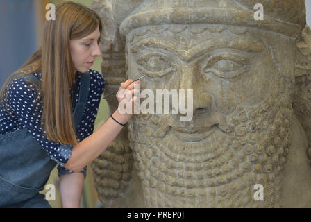 Il Museo britannico conservatore di pietra Kasia Weglowska, prepara una testa di un alato assiro bull, dal palazzo di Ashurbanipal, il padre, Esarhaddon, a Nimrud 670BC. La testa del peso di 1,8 tonnellate è parte della finale degli impianti per la sto Ashurbanipal: il re del mondo, re di Assiria, mostra presso il British Museum di Londra, che si apre il 8 novembre 2018. Foto Stock