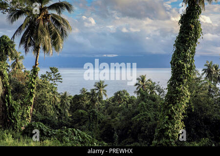 Lussureggiante paesaggio tropicale sull'isola di Bunaken, Sulawesi, Indonesia Foto Stock