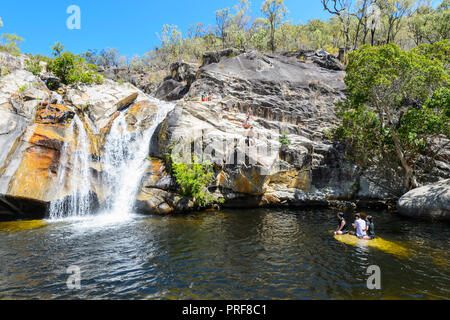 I visitatori di nuoto in Emerald Creek Falls, vicino Mareeba Aeroporto, altopiano di Atherton, estremo Nord Queensland, FNQ, QLD, Australia Foto Stock