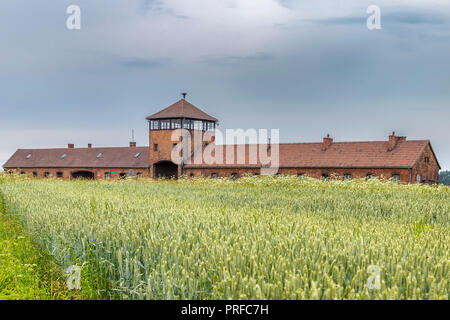 All'interno di Auschwitz ii Birkenau concentrazione e sterminio camp. Edificio principale costruito e gestito dal Terzo Reich in tedesco-Polonia occupata dur Foto Stock