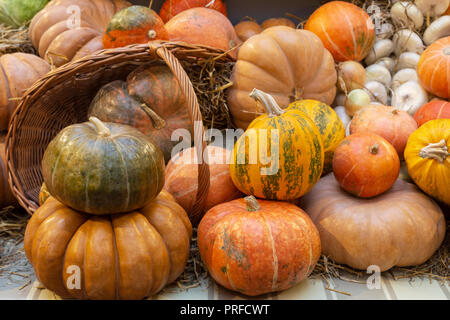 Composizione autunnale di zucca con fieno a sfondo legno Foto Stock