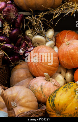 Composizione autunnale di zucca con fieno a sfondo legno Foto Stock