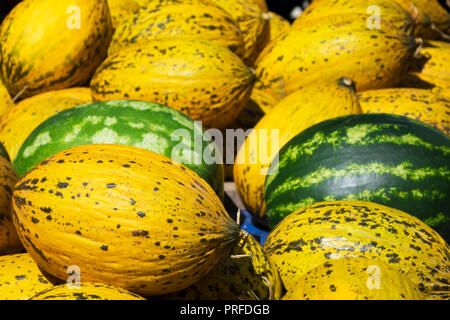 Gruppo di freschi maturi i cocomeri di verde e giallo melone dolce. Melone meloni sulla scatola in legno per la vendita in azienda agricola biologica. Il melone è uno qualsiasi di vari p Foto Stock