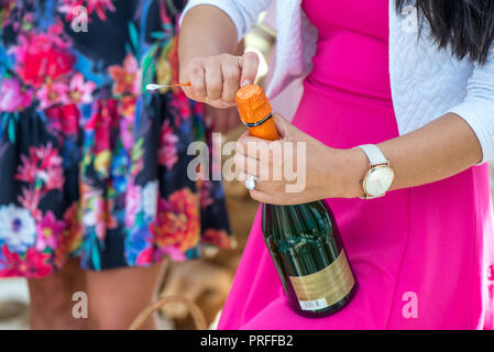 Ragazza in abito rosa è di aprire la bottiglia di champagne per versare la bevanda in bicchieri. Il sughero è in procinto di pop out. Allegro sposa e le sue damigelle hanno delle parti Foto Stock