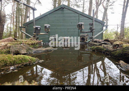 La fauna selvatica fotocamera reflex digitale attrezzatura di trappola comprendente tre telecamere, tre speedlight lampeggia un sensore remoto su un laghetto di riflessione, East Yorkshire, Regno Unito. Foto Stock