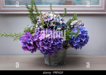 Viola le ortensie in Devon cottage Foto Stock