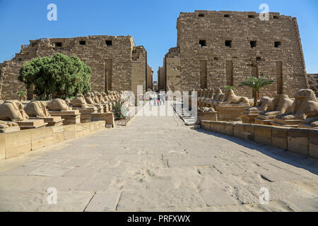 Testa di ariete sfingi al complesso del Tempio di Karnak, comunemente noto come Karnak, un vasto mix di cariati, templi e altri edifici a Luxor, Egitto Foto Stock