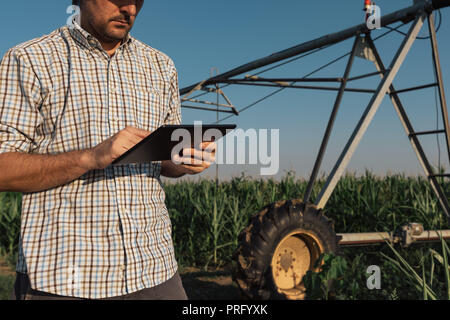 Grave agricoltore interessato utilizzando computer tablet in cornfield con impianto di irrigazione al di fuori del funzionamento durante le calde giornate estive Foto Stock