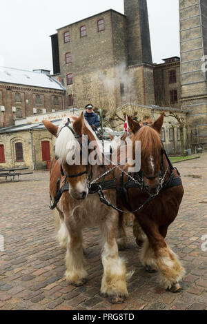 Heavy progetto progetto Jutland rare cavalli lavorando alla storica fabbrica di birra Carlsberg, Copenhagen, Danimarca Foto Stock