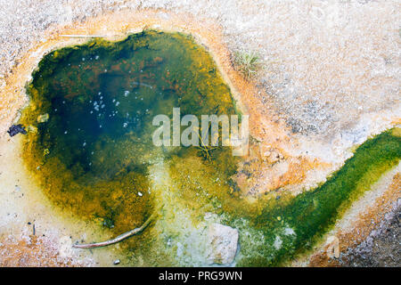 La molla piccola presso il West Thumb Geyser Basin nel Parco Nazionale di Yellowstone. Foto Stock