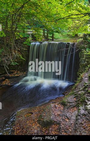 Weir sul fiume Clywedog in Plas Power boschi sul sentiero Clywedog in autunno vicino Wrexham North Wales UK Novembre 2267 Foto Stock