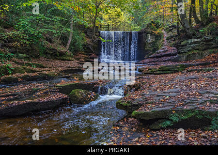 Weir sul fiume Clywedog in Plas Power boschi sul sentiero Clywedog in autunno vicino Wrexham North Wales UK Novembre 4313] Foto Stock