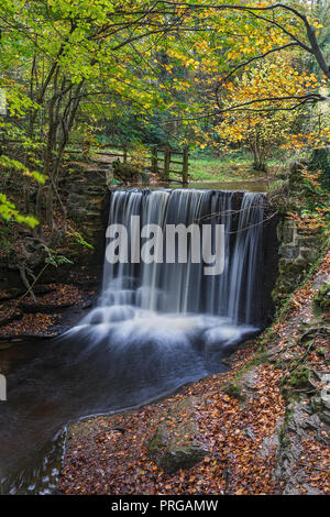 Weir sul fiume Clywedog in Plas Power boschi sul sentiero Clywedog in autunno vicino Wrexham North Wales UK Novembre 4479 Foto Stock