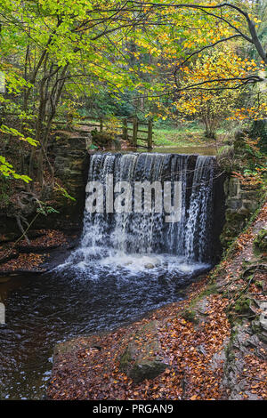 Weir sul fiume Clywedog in Plas Power boschi sul sentiero Clywedog in autunno vicino Wrexham North Wales UK Novembre 4485 Foto Stock