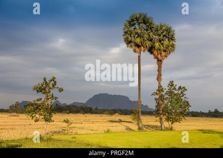 Campo da golf in campagna in Mianmar Foto Stock
