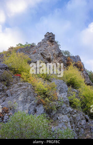 Incredibile Colore di autunno pallet di arbusti e alberi che crescono sulle rocce appuntite, hilltop Foto Stock