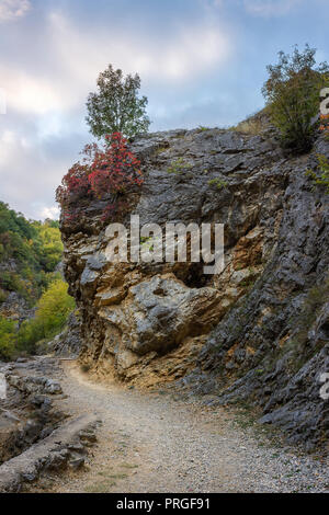 Incredibile Colore di autunno pallet del canyon stretto e una strada di montagna che conduce attraverso le rocce e alberi Foto Stock