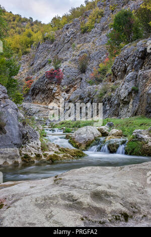 Incredibile Colore di autunno pallet di alberi in uno stretto canyon con mountain creek cascades Foto Stock